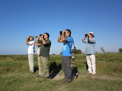 Birdwatching at Akrotiri Marsh