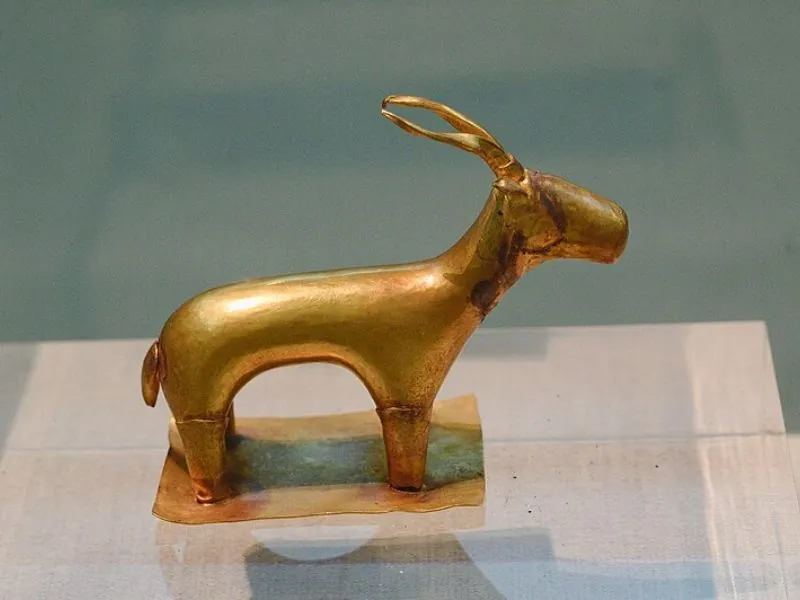 Golden Ibex